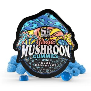 Buying Mushroom Gummies In 2024? Keep These Things In Mind