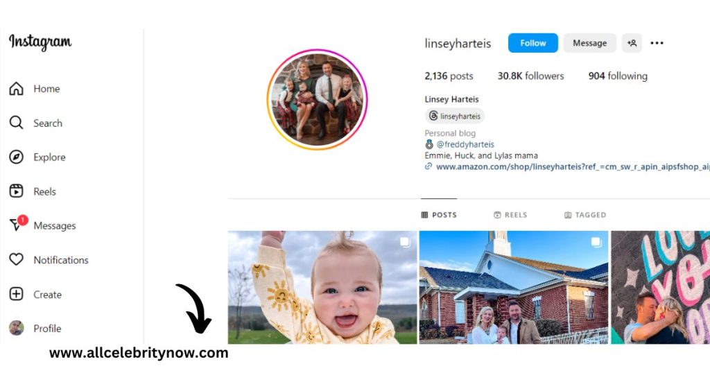 Linsey Harteis instagram account details