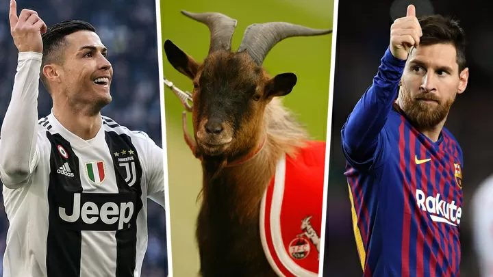 Goat: Where Sports and Community Converge